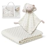 Interbaby Couverture en Bulles Coraline 80 x 110 cm + Doudou Modèle 28 x 17 cm PD001-05